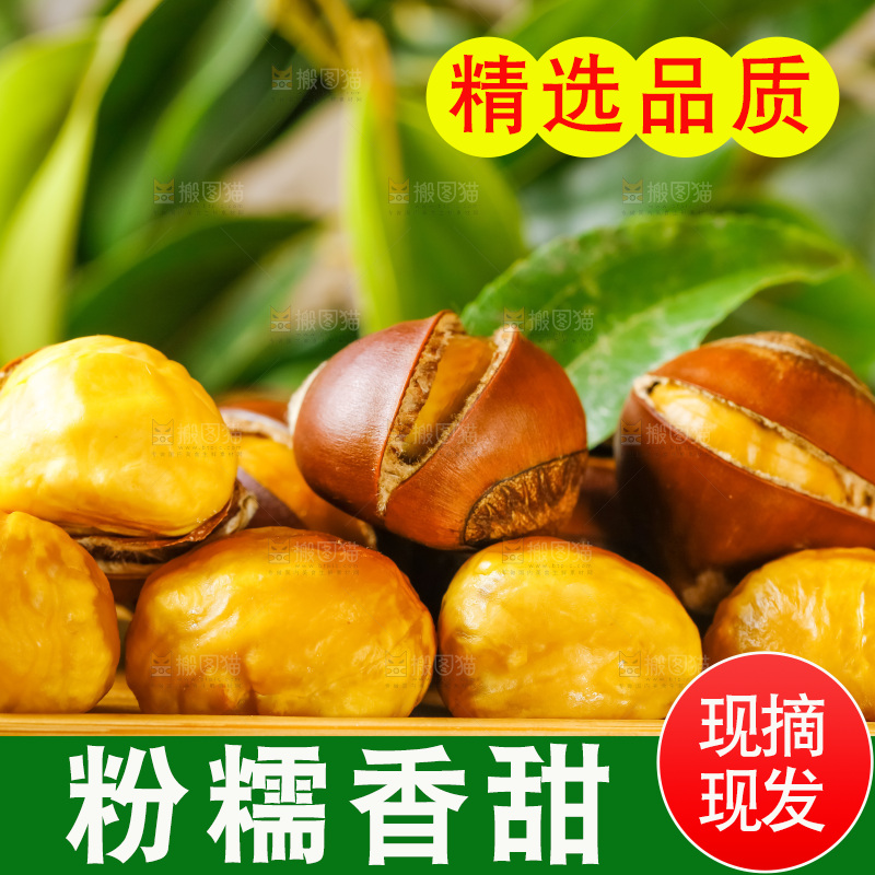 深底上的迁西板栗