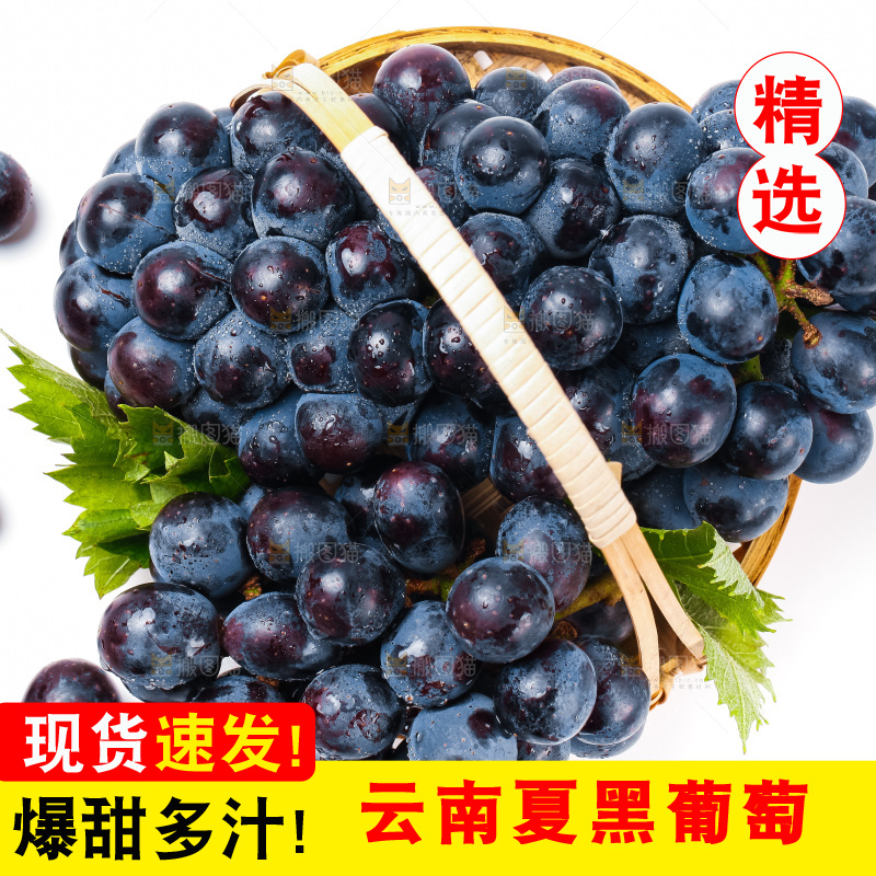 一篮新鲜夏黑放在白底上