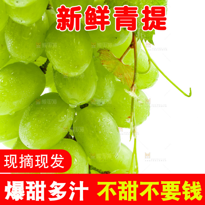 白底上的青提