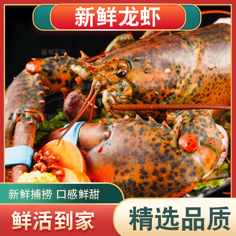 黑底上放着一盘波士顿大龙虾