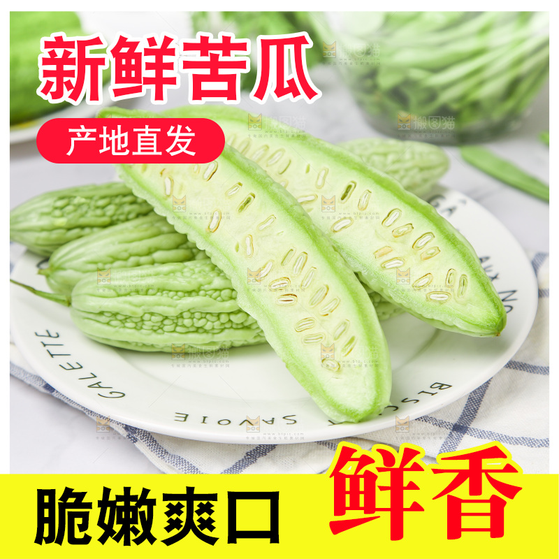浅底上的苦瓜