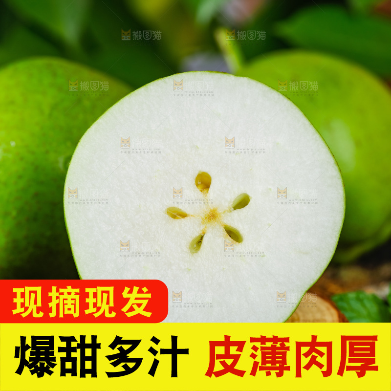 木底上放着陕西早酥梨