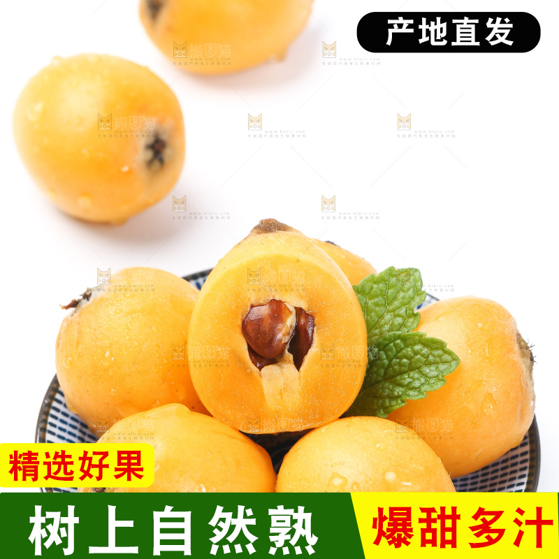 白底上的枇杷