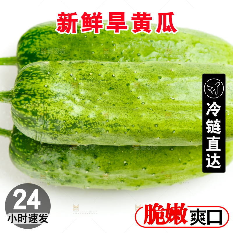 白底上放着新鲜旱黄瓜
