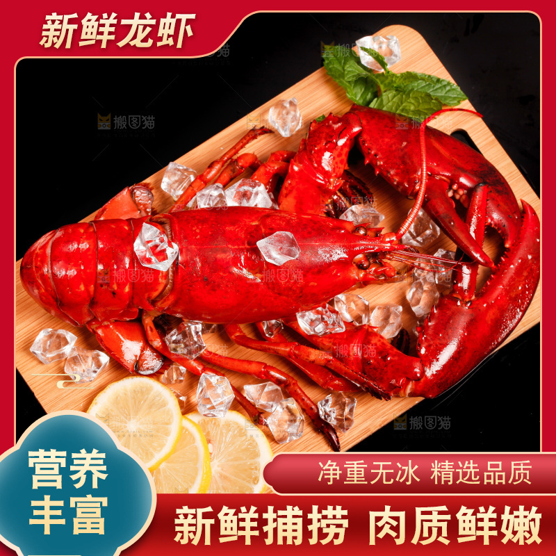 黑底上放着一盘澳洲大龙虾