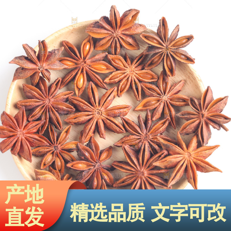 广西八角放在白底上