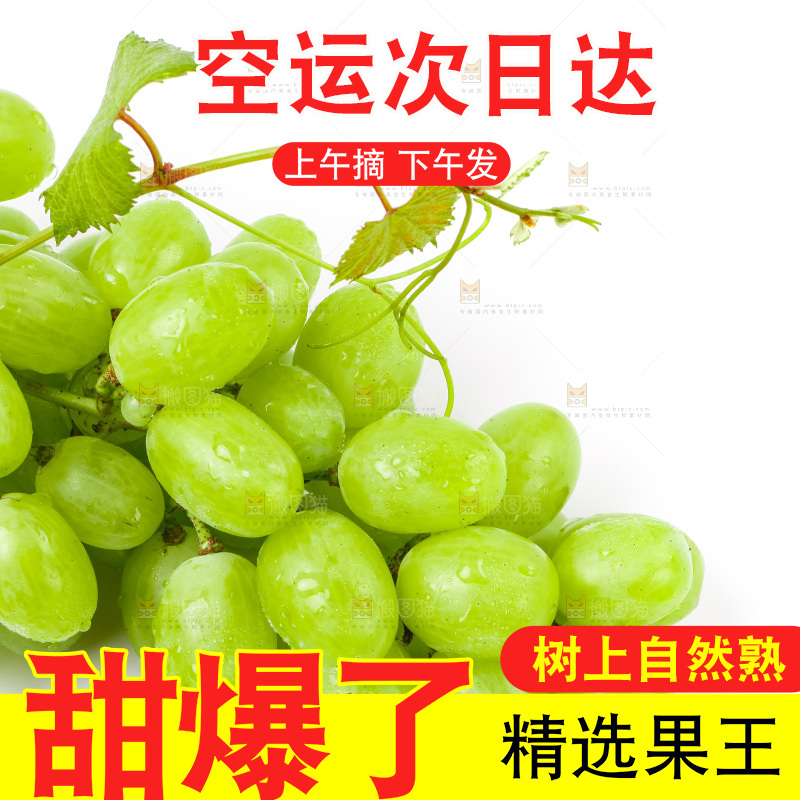 白底上的青提