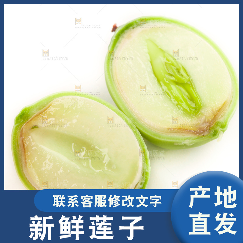 白底上的莲子