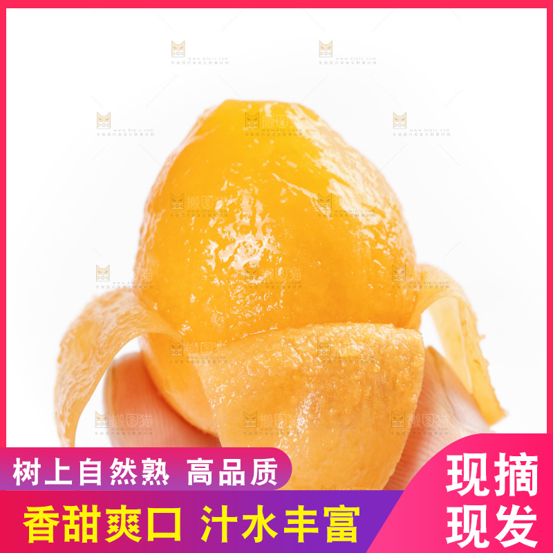 白底上放着攀枝花米易枇杷