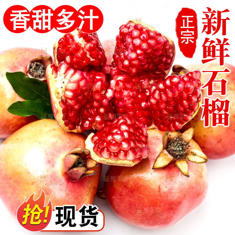 白底上放着突尼斯软籽石榴