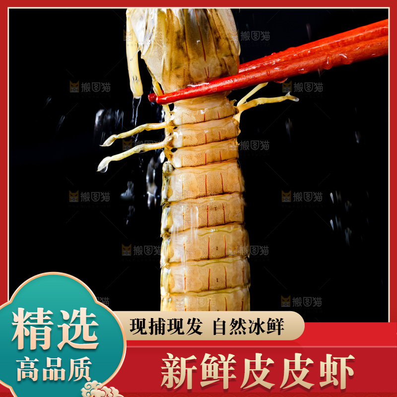 筷子上夹着虾姑