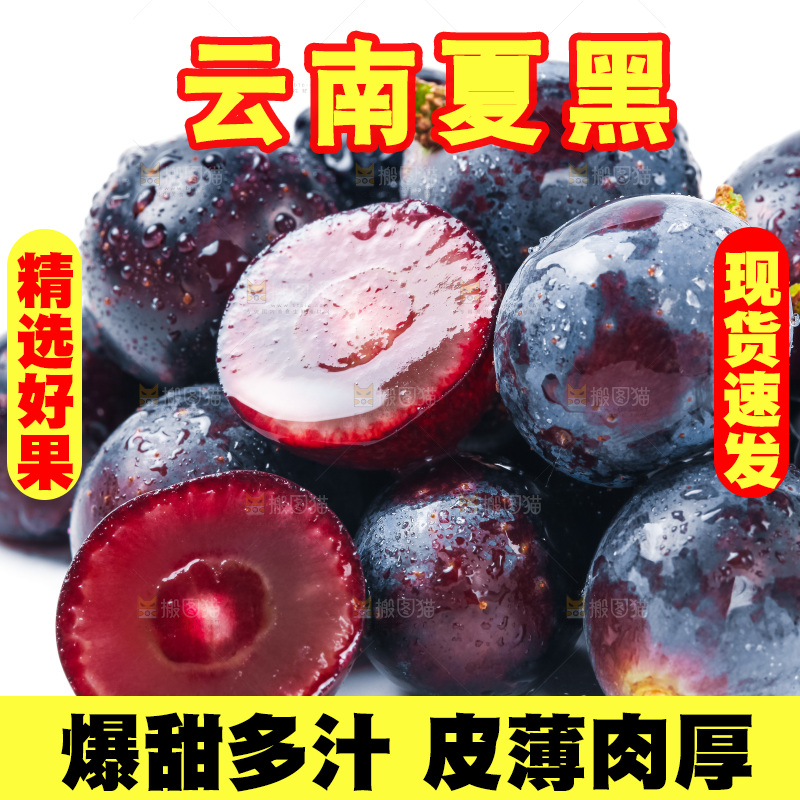 云南夏黑葡萄放在白底上
