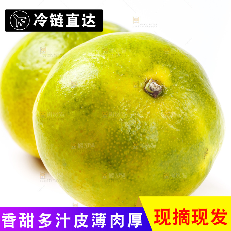 白底上的青皮蜜橘