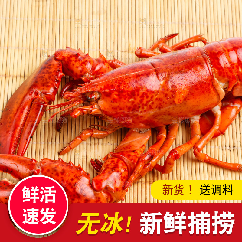 木底上放着波士顿大龙虾
