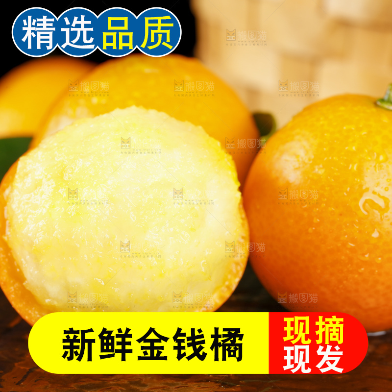 黑底上的小金桔