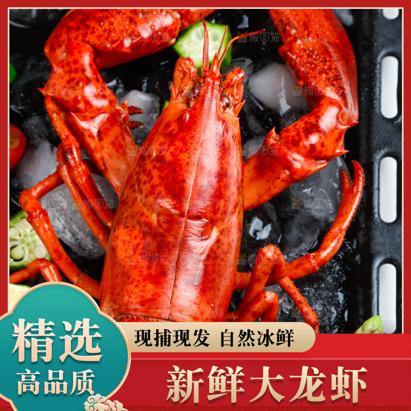 盘子里装着澳洲大龙虾