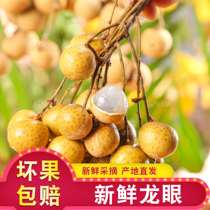 手里拿着新鲜龙眼