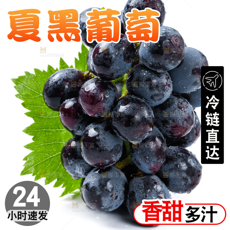 白底上的夏黑葡萄