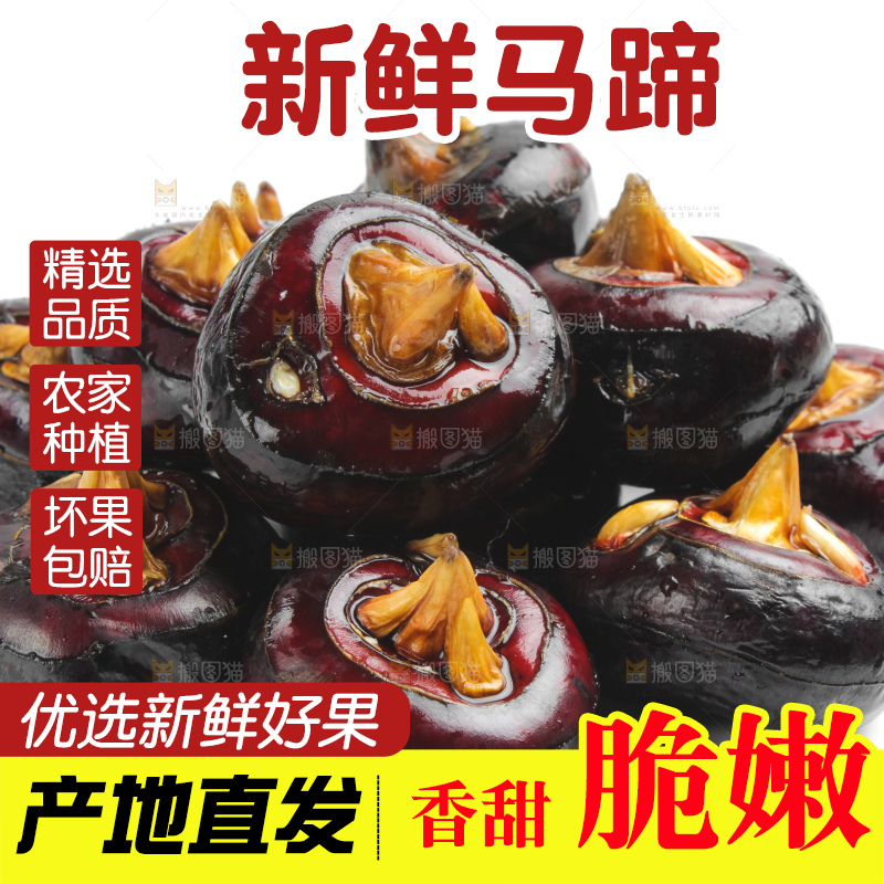 白底上摆放着广西荔浦马蹄