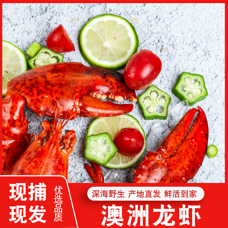 石板上的波士顿大龙虾