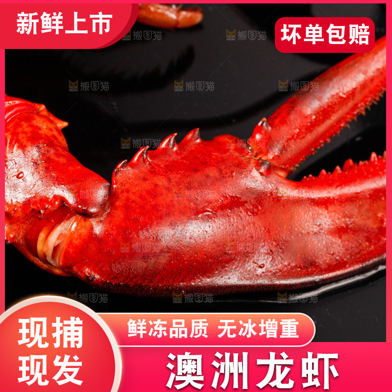 黑底上放着波士顿龙虾