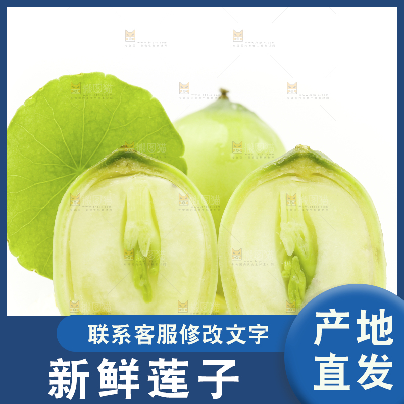 白底上放着嫩莲子