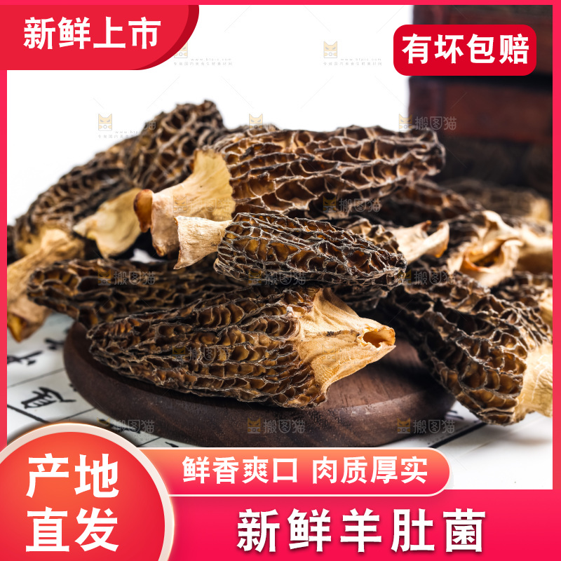 干羊肚菌放在浅底上