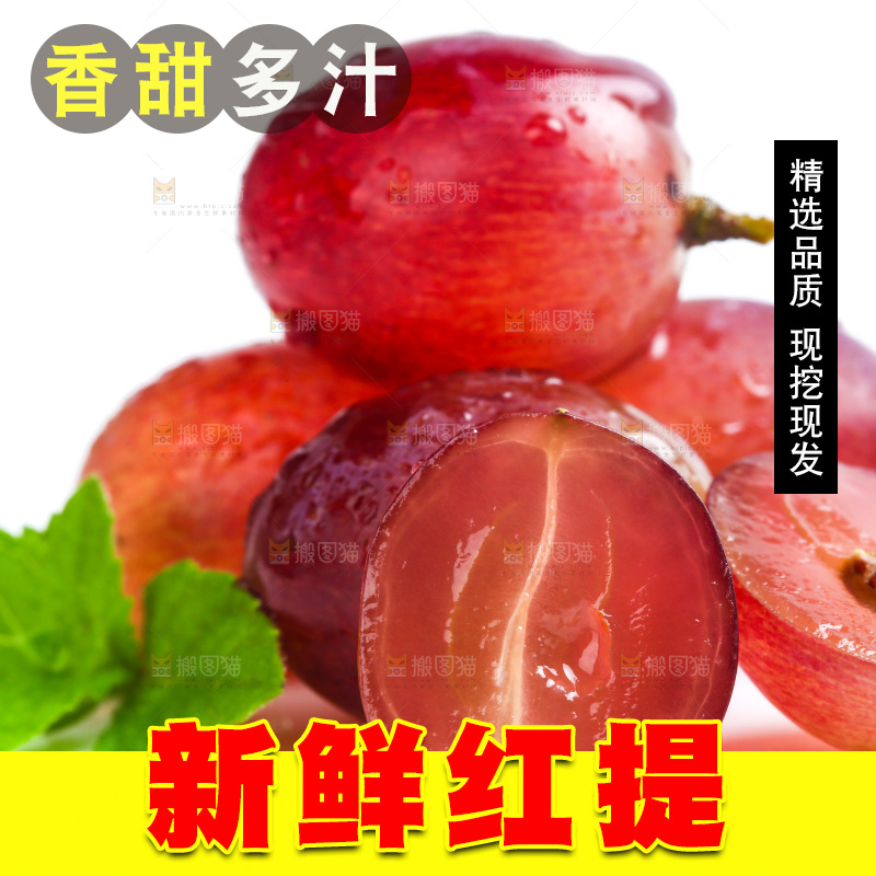 新鲜提子放在白底上