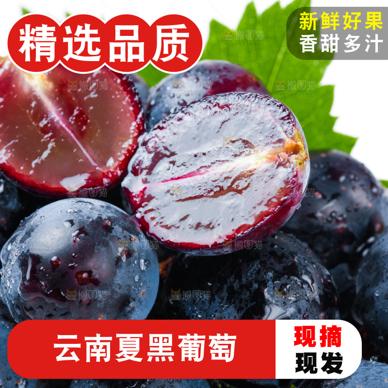 白底上的夏黑葡萄