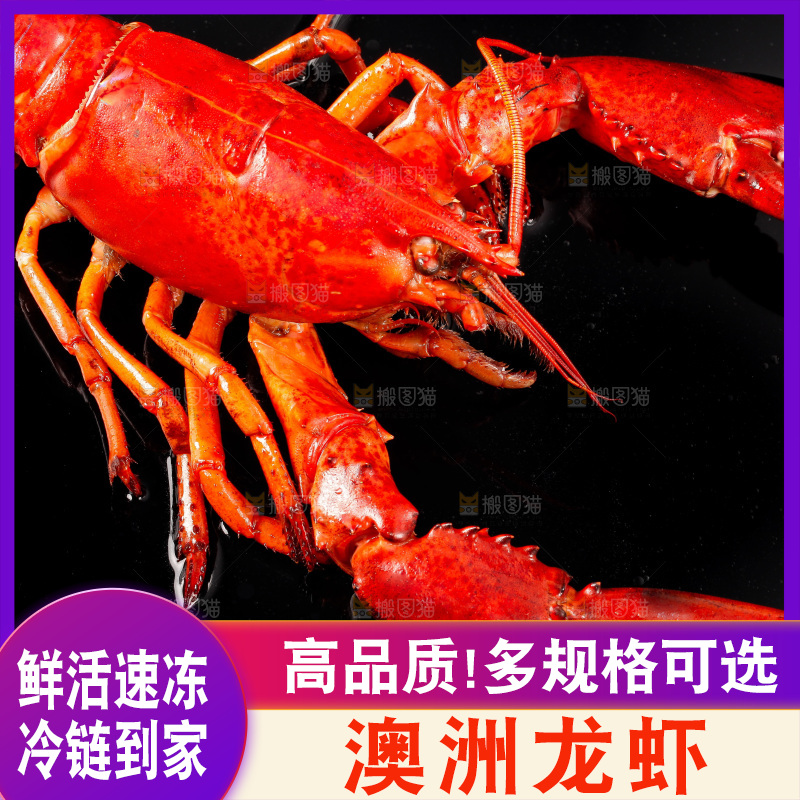 黑底上放着波士顿龙虾