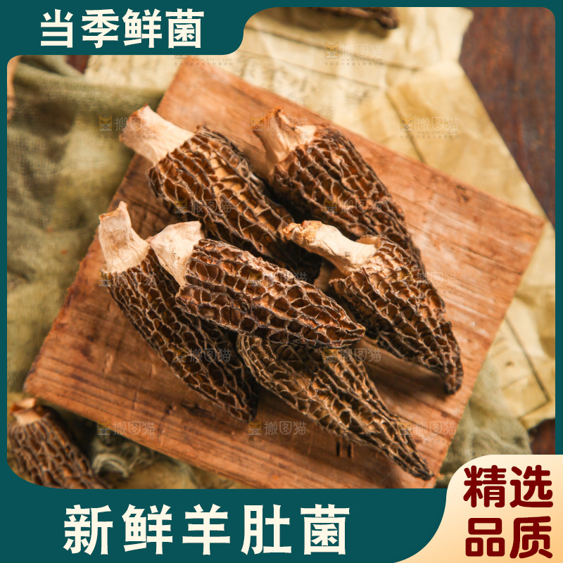 木底上的干羊肚菌