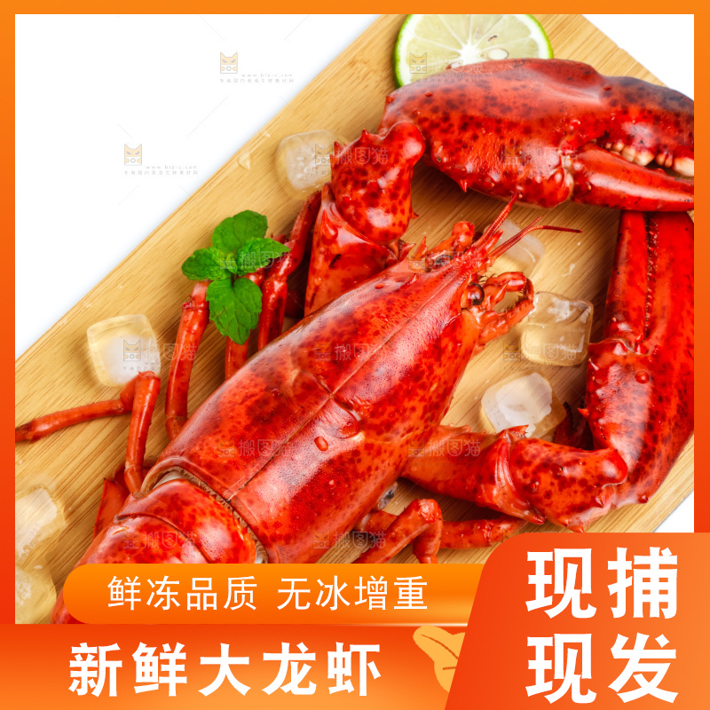 波士顿大龙虾放在浅底上