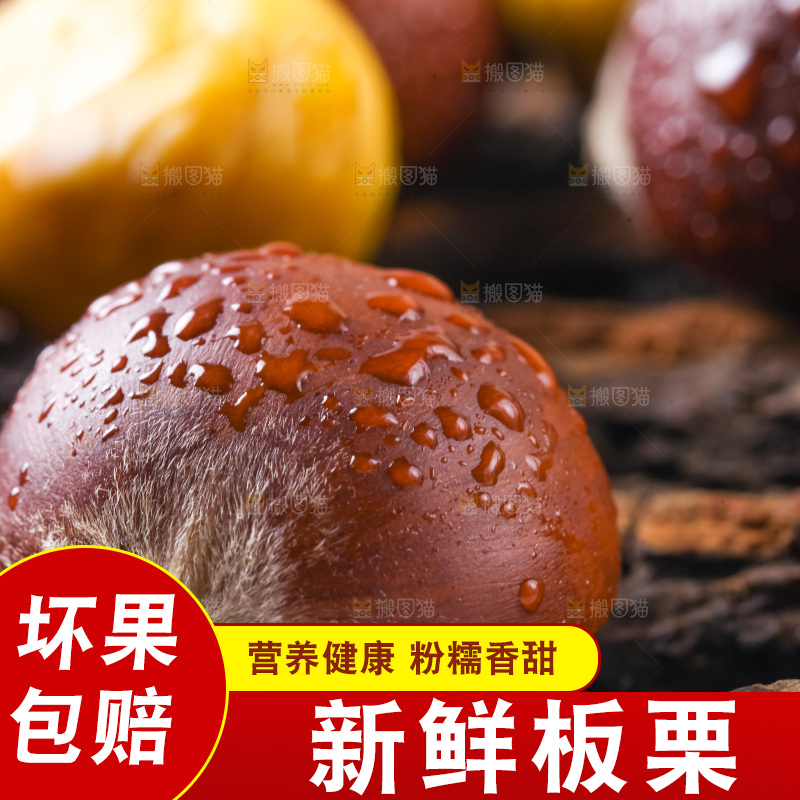 木底上的毛栗子