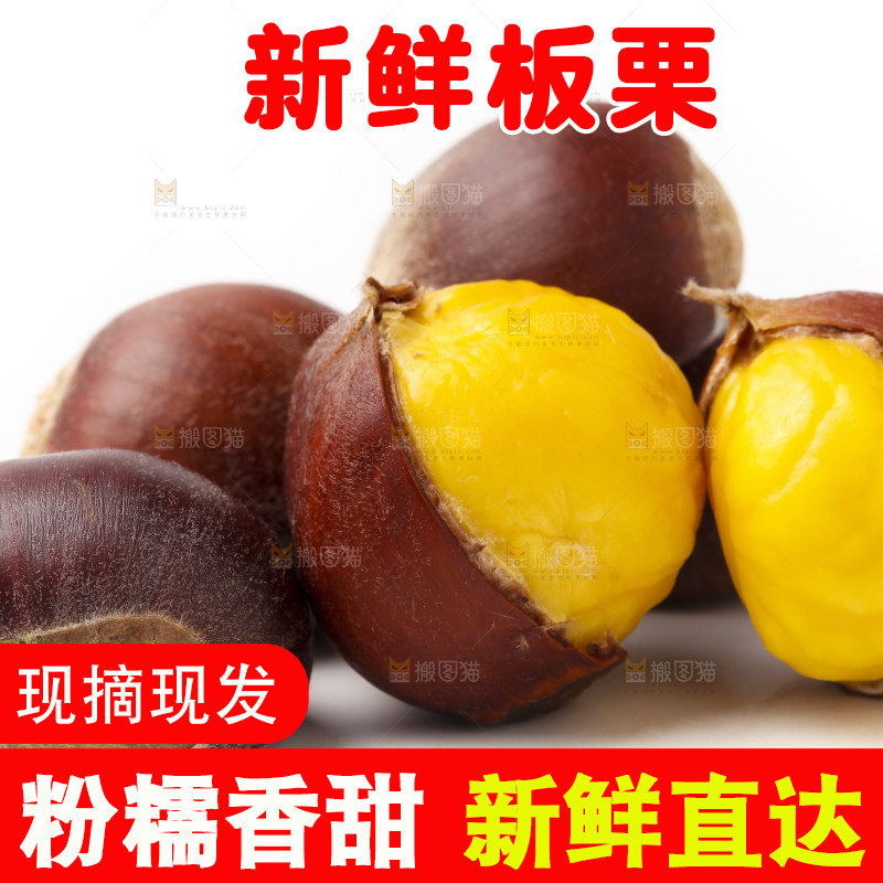 浅底上的迁西板栗