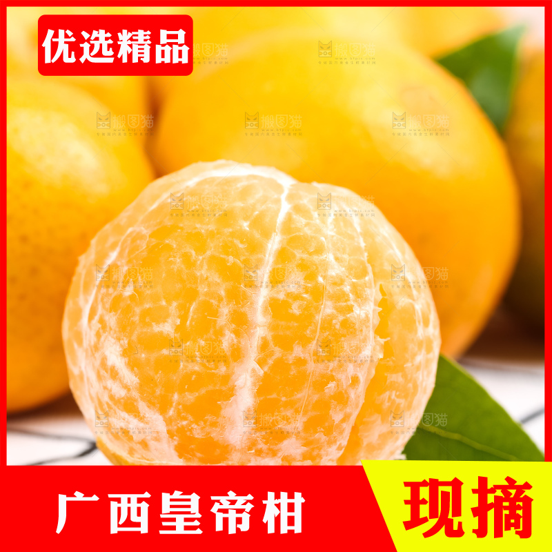 格子底上放着一堆新鲜的贡柑