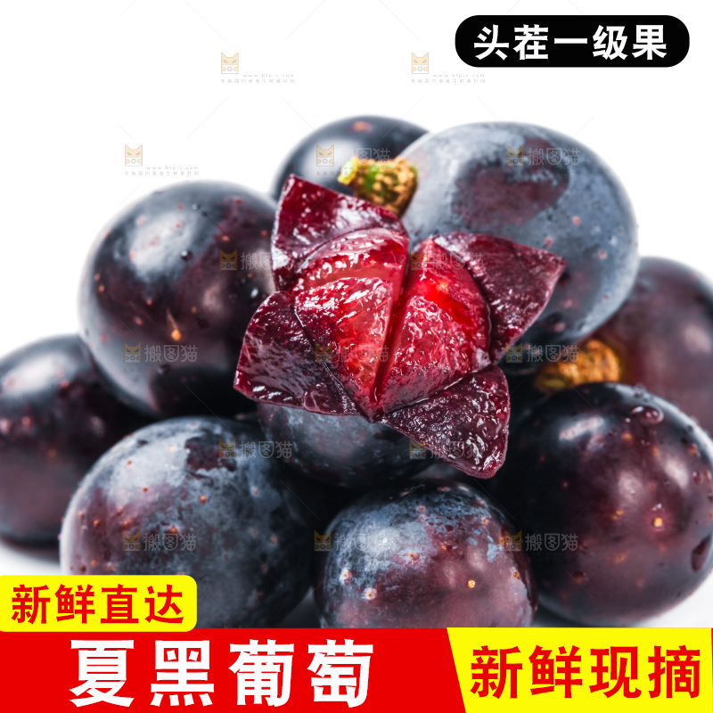 云南夏黑葡萄放在白底上