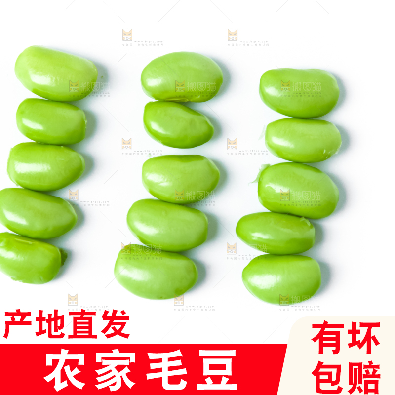 白底上的毛豆