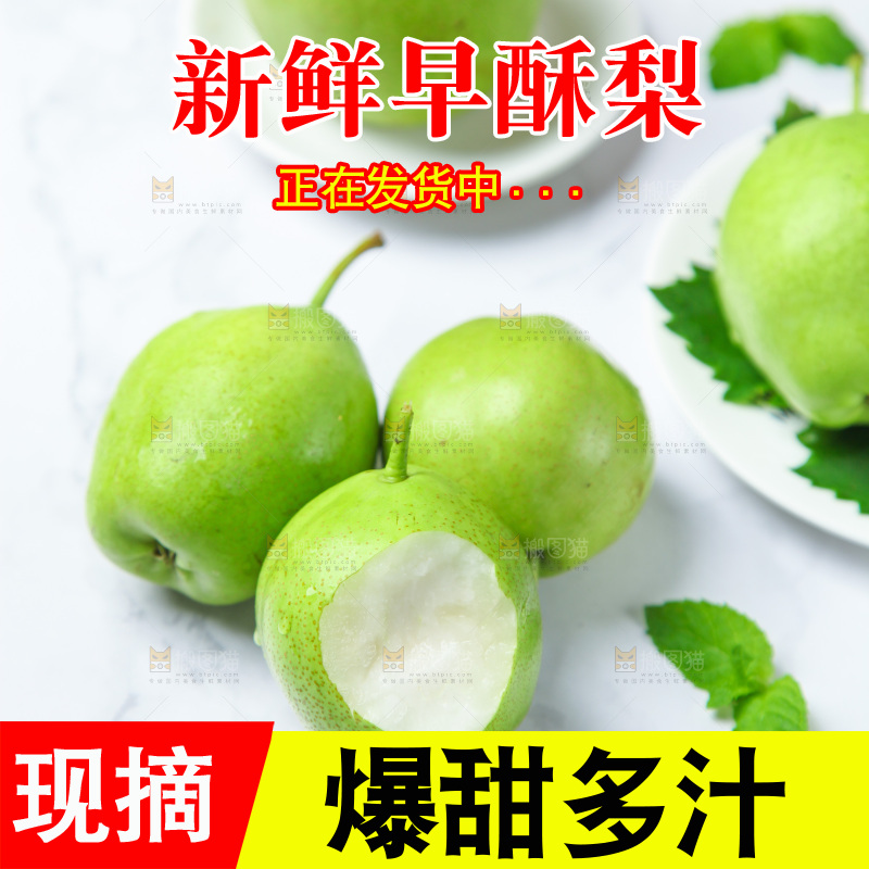 浅底上的早酥梨