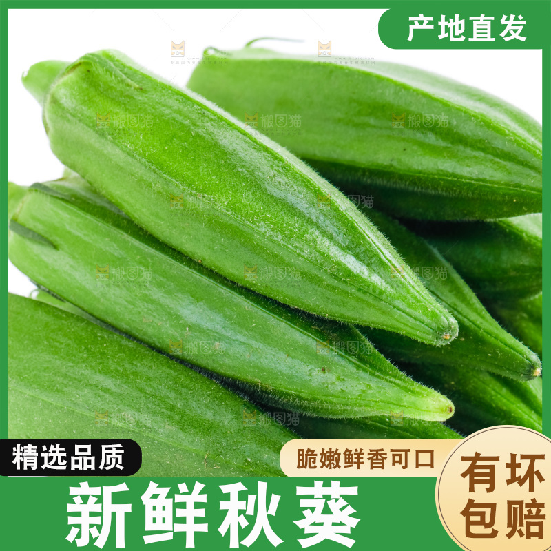 白底上的新鲜秋葵