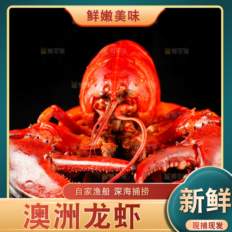 黑底上放着波士顿龙虾