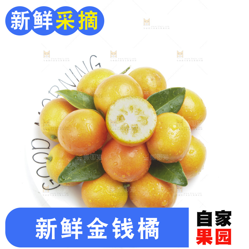 盘子里装着新鲜金钱桔