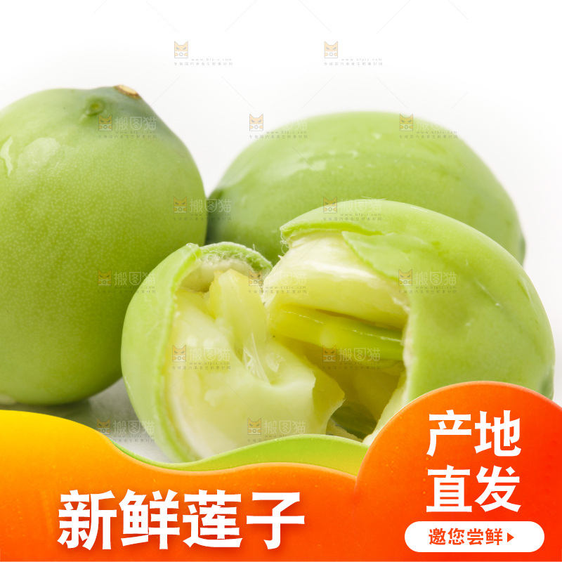 白底上的新鲜莲子