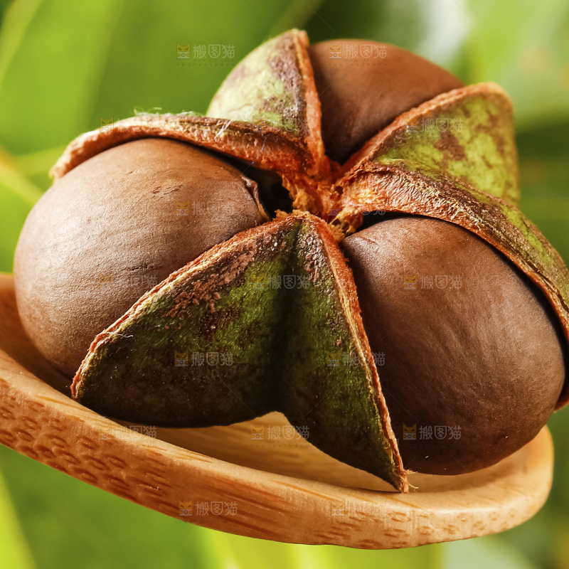 深底上的茶树果