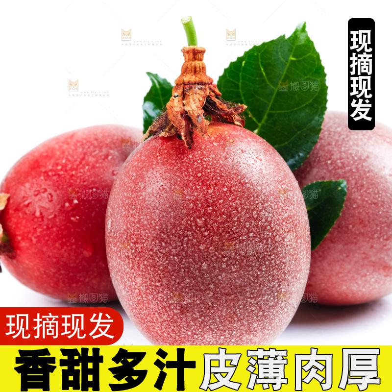 白底上的百香果