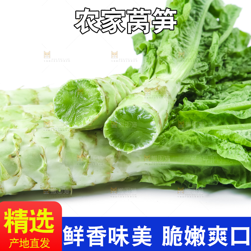 白底上的莴笋
