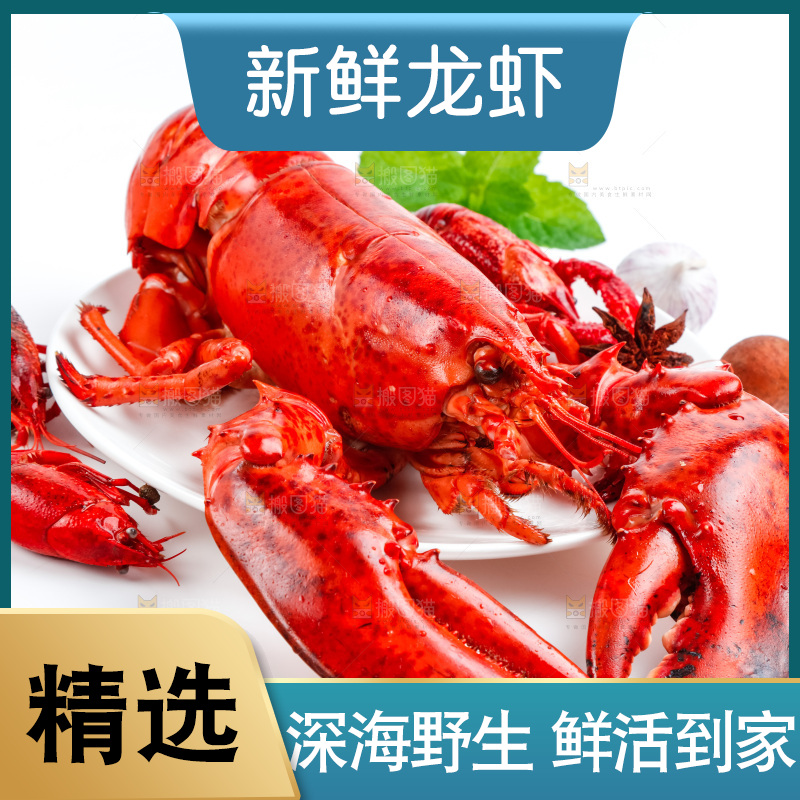 白底上放着大龙虾
