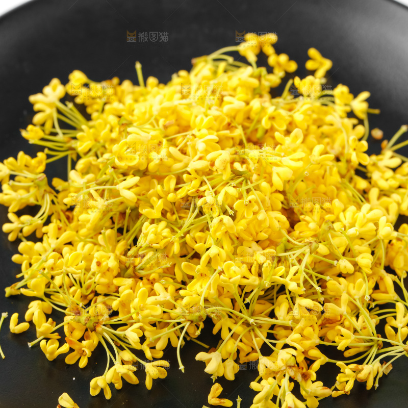 石板上的金桂花