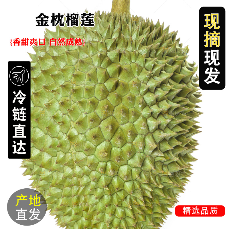 白底上放着泰国金枕榴莲