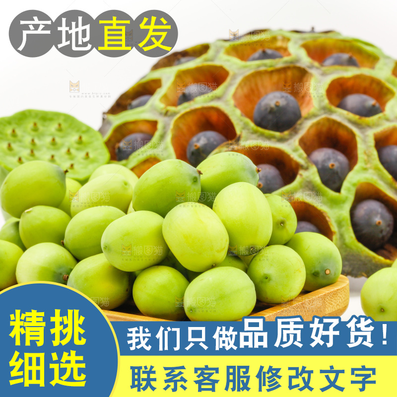 浅底上的新鲜莲子