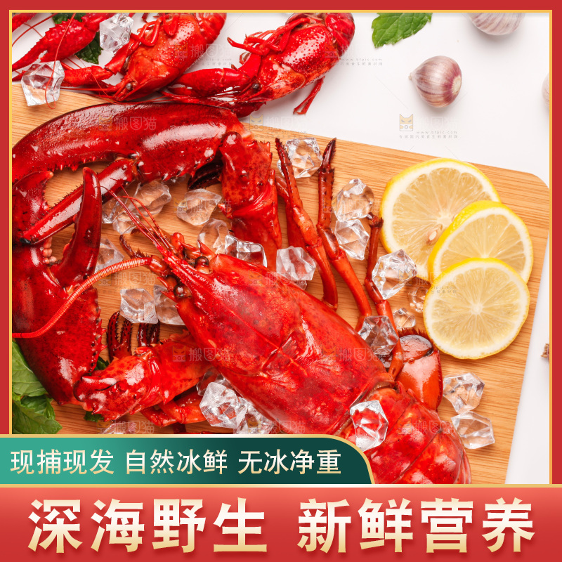 白底上的大龙虾